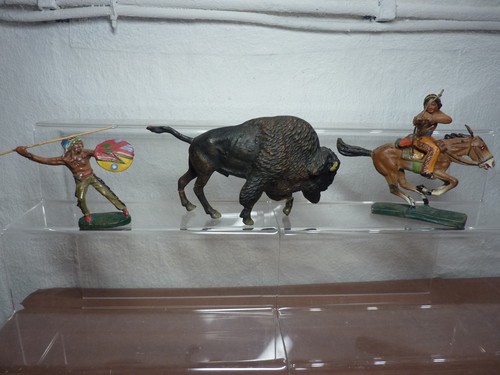 Bisonjagd